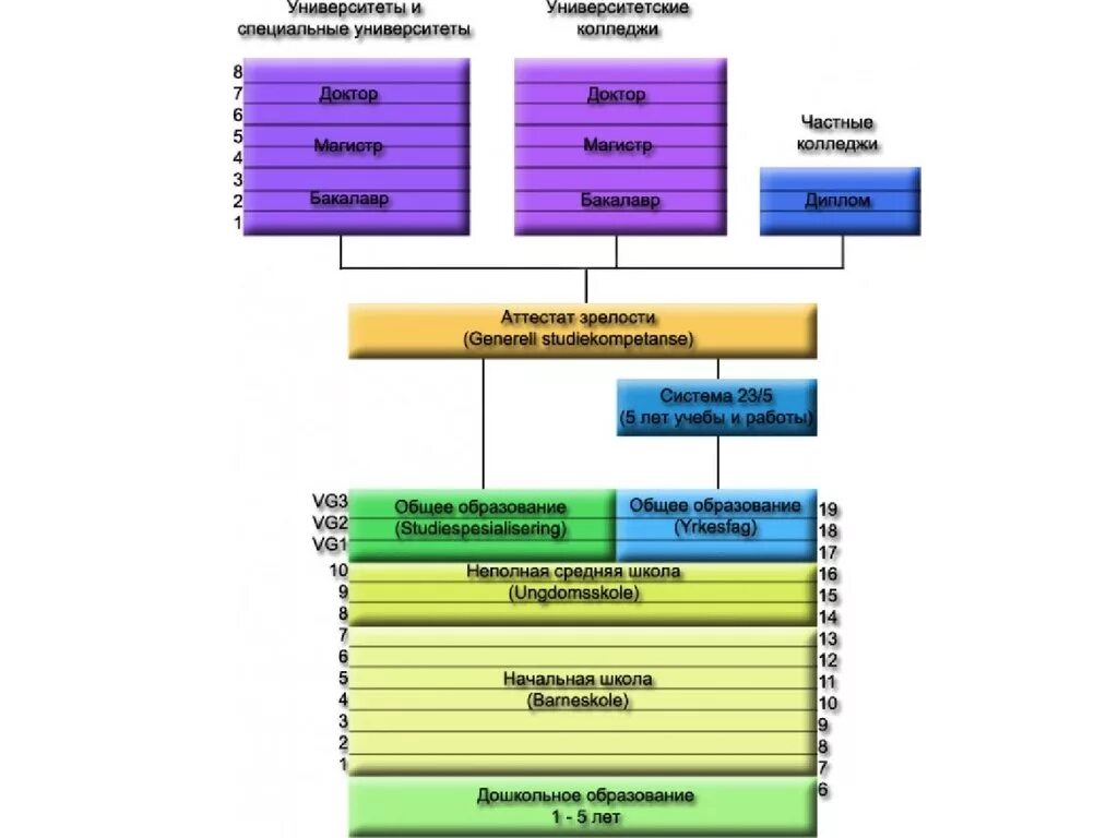Схема образования в Норвегии. Система образования в Польше схема. Система образования в Нидерландах схема. Школьное образование в Германии схема.