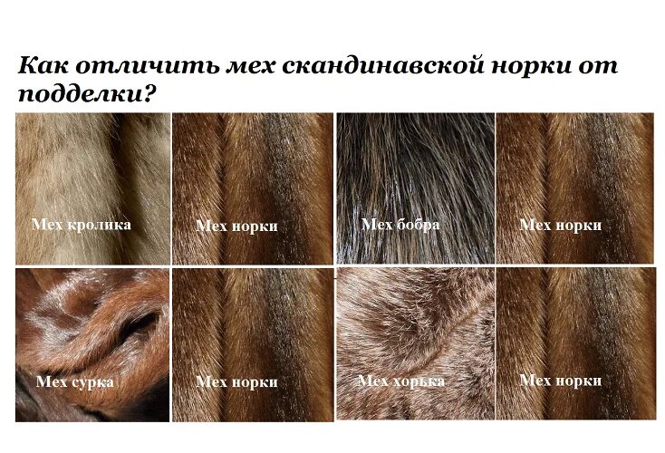 Как отличить настоящую шубу. Мех сурка мех норки отличия. как распознать мех. как отличить мех норки. мех норка натуральный и искусственный отличия.