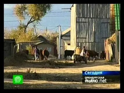 Изобильное оренбургская область погода