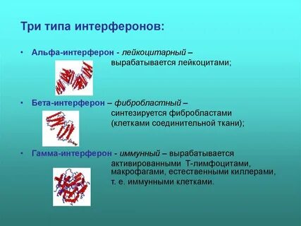 Интерферон гамма это