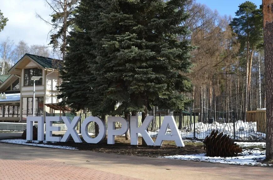 Название город балашиха. Южный парк балашиха. ооо балашиха парк. парки балашихи. балашиха достопримечательности пехорка.