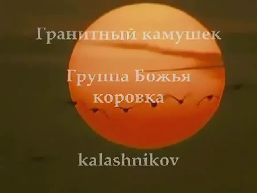 божья коровка гранитный камушек караоке