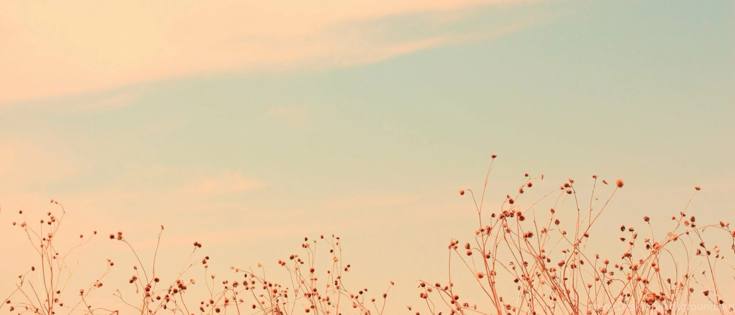 Unexpected header