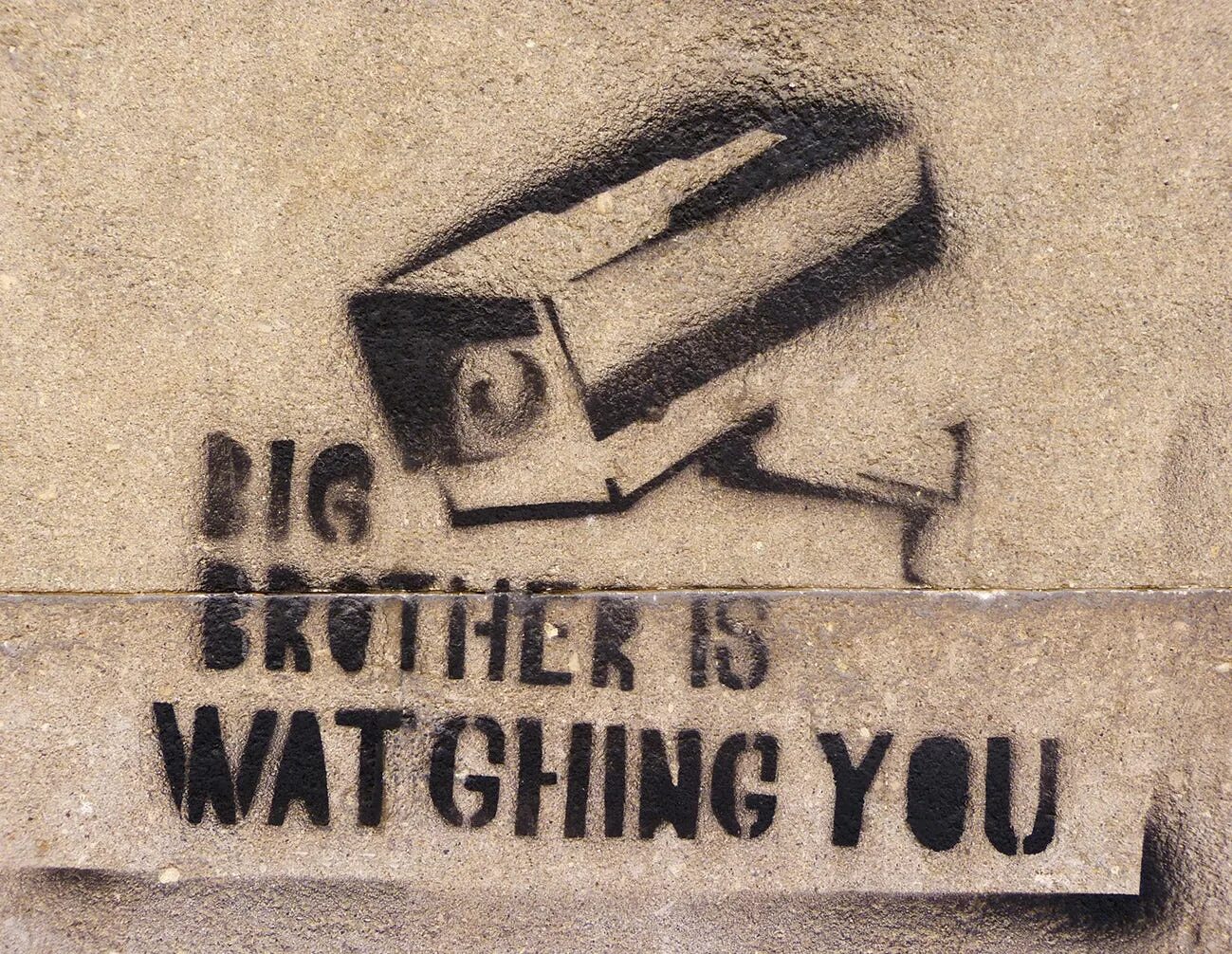 Big brother is watching you камера. Big brother is watching you вектор. Большой брат 1984. Оруэлл 1984 видеонаблюдение. Камера братишка