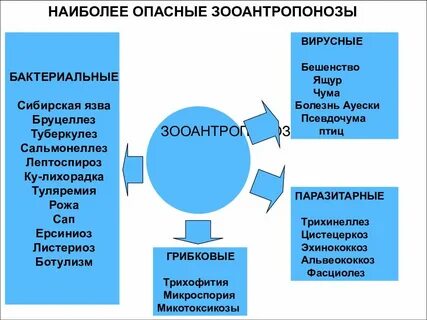 К антропозоонозным инфекциям относятся