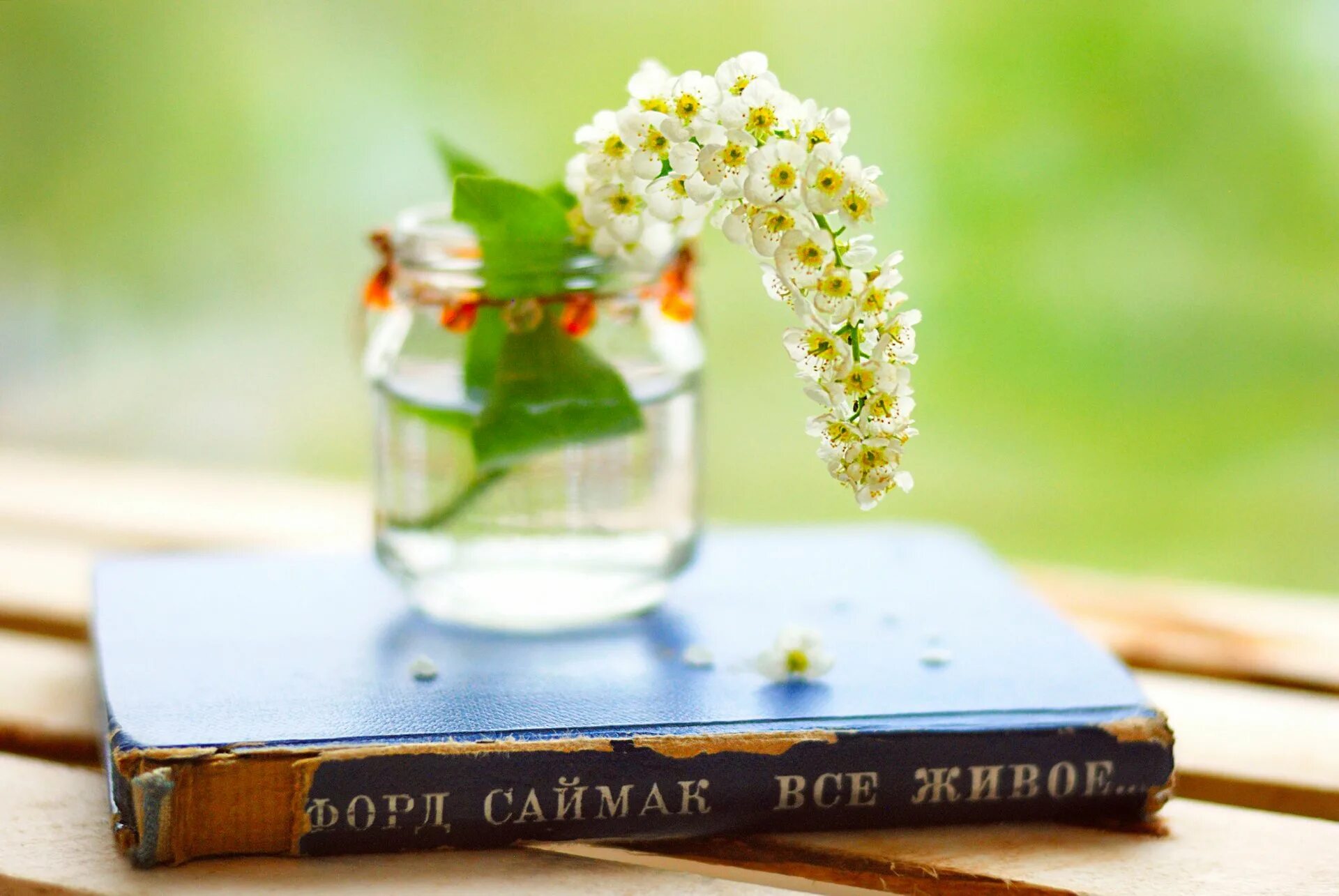 Весенний книжный букет. Книги о весне. Книга цветы. Обои на рабочий стол книги. Книги на фоне цветов.