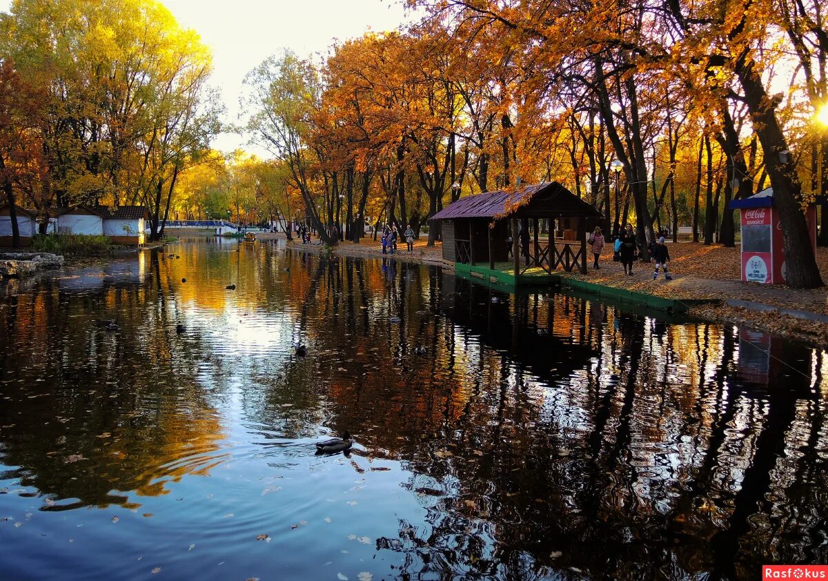Парк гагарина осенью. Парк гагарина осенью. Парк гагарина осенью. Гагаринский парк симферополь. Гагаринский парк самара.