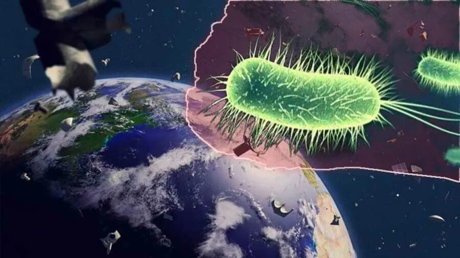 Бактерия чужеродная. Микроорганизмы из космоса. Бактерии на земле. Микробы из космоса. Бактерии в космосе.