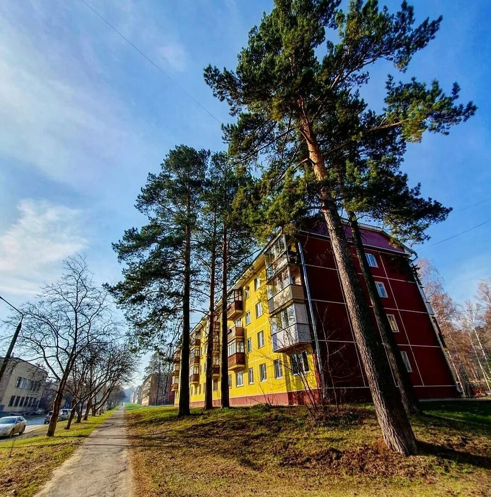 Академгородок Новосибирск. Новосибирский научный городок Академгородок. Академия городок в Новосибирске. Академгородок Новосибирск лето. Новосибирский городок