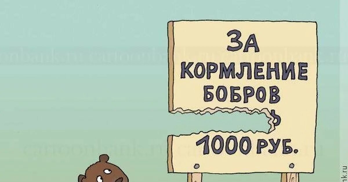 Приколы про бобров. Бобры приколы. Хитер бобер. Смешные картинки с бобрами. Прикол про бобра.