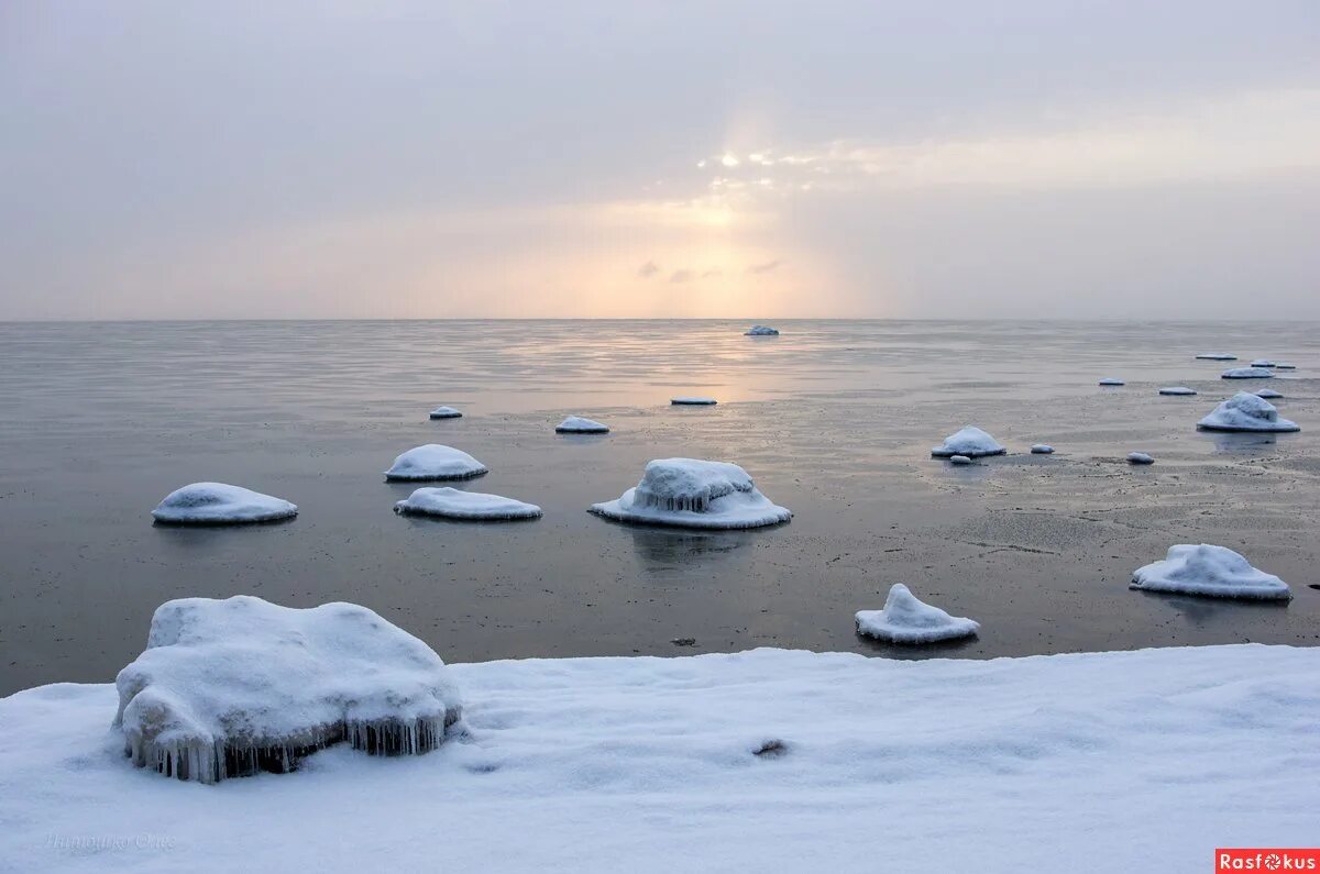 Финляндия море зимой. Финский залив питер. Зимний финский залив в санкт-петербурге. Финский залив в санкт-петербурге зимой. Зеленогорск зимой залив.