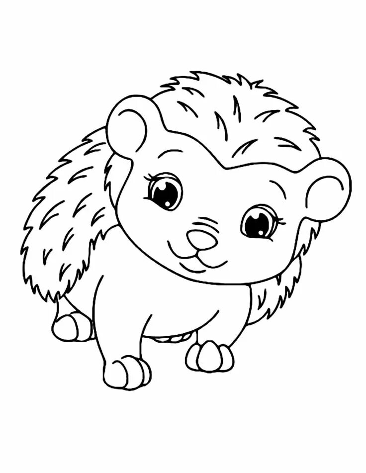 Милый ёжик Coloring pages, Drawings, Printable coloring pages