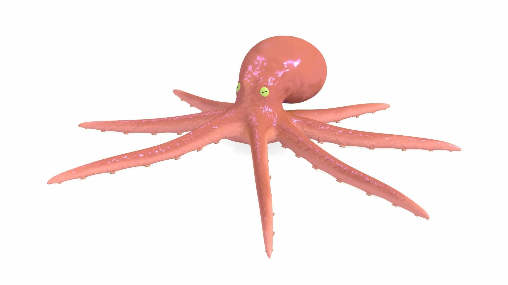 Осьминог Octopus 3d STL. Кальмар 3d. Кальмар 3д модель. 3d модель кальмар.