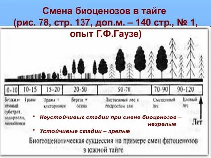 Профиль смены