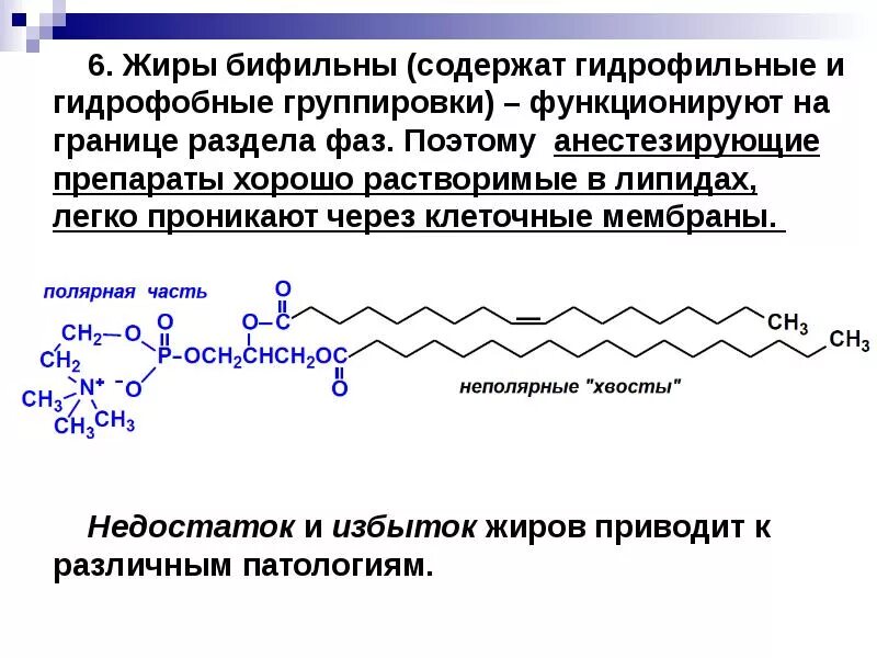 6 жиры