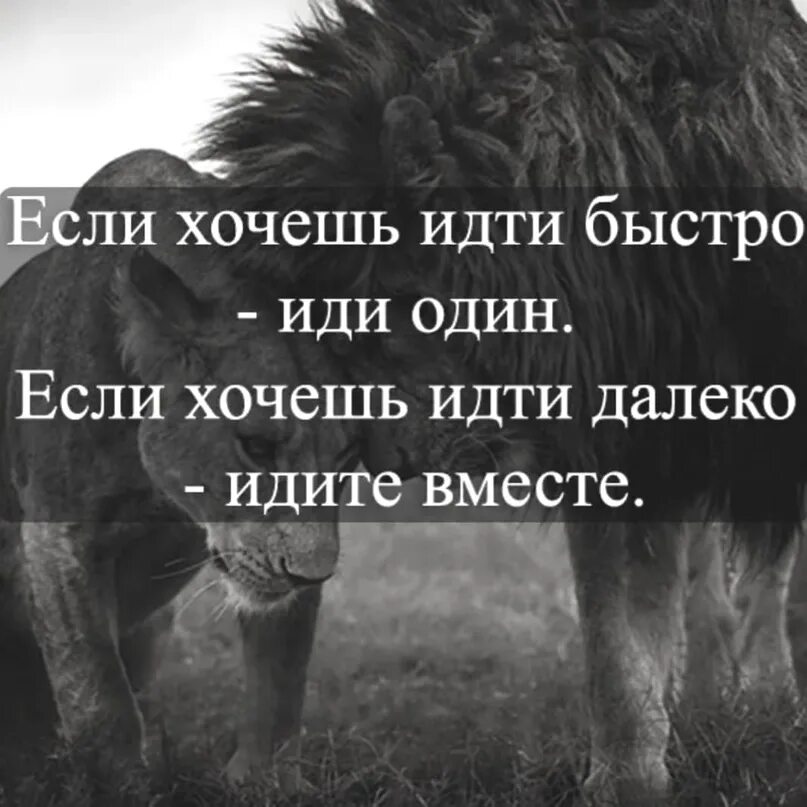 Если хочешь идти быстро иди один. Если хочешь идти быстро иди один если хочешь идти далеко идите вместе. Если хочешь дойти быстро иди один если хочешь дойти далеко иди вместе. Если вы хотите идти быстро идите в одиночку.