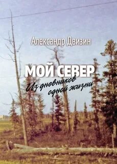 Двизин проза