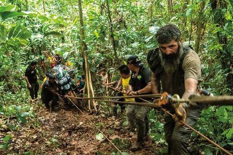 Ibu software di hutan