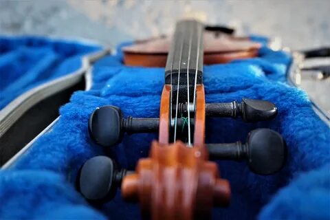Violin instruments