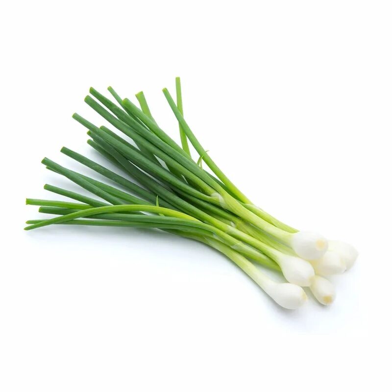 Scallion Scallions Ramp - Free photo on Pixabay Vegetable pictures, Vegetables, 