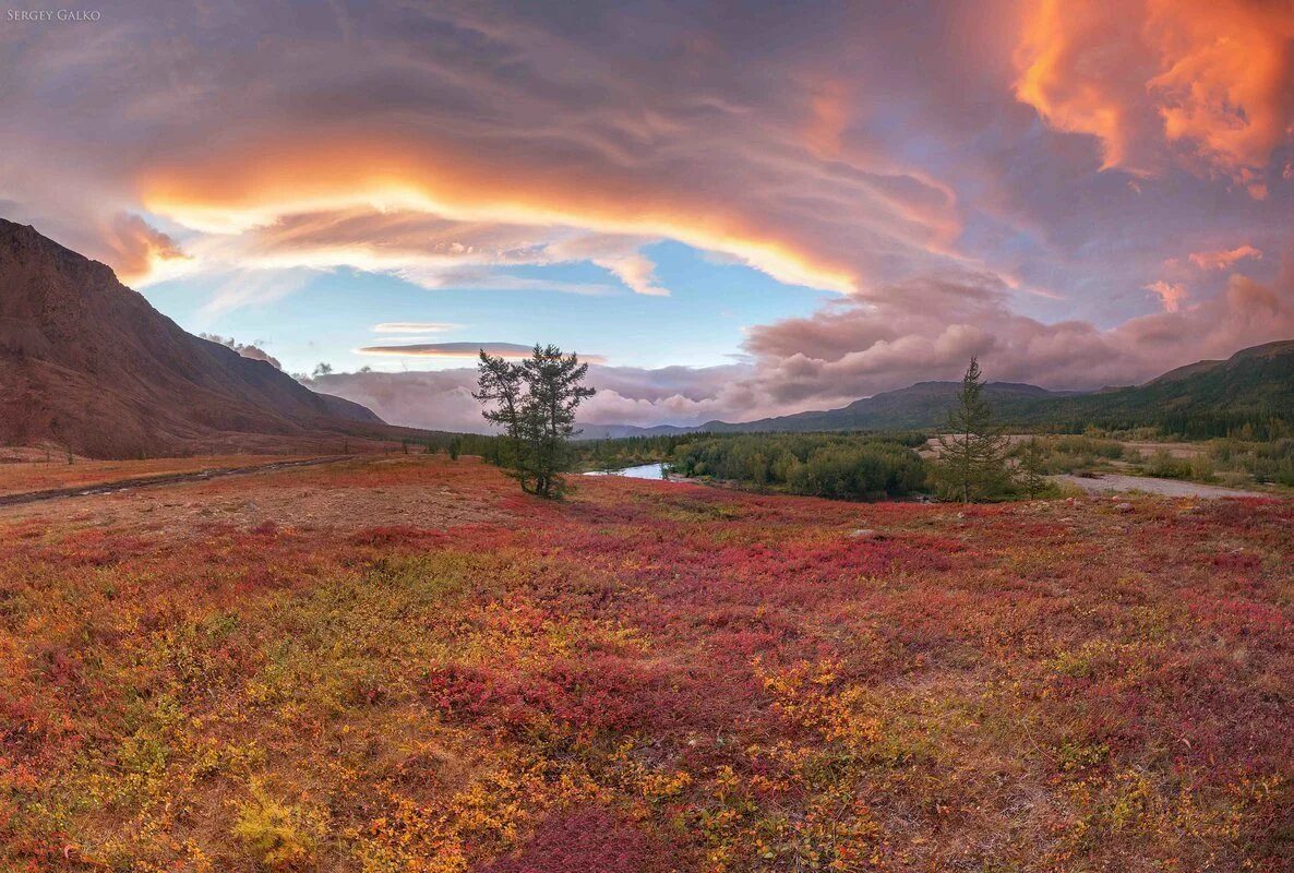 Зона лесотундры. Тундра и лесотундра. Чукотское нагорье флора. Тихо тундра. Тундра лесотундра тайга.