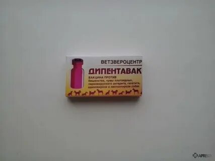 Дипентавак вакцина инструкция