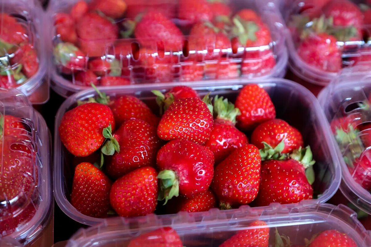 Клубника. Контейнер для ягод. Клубника в контейнерах. Упаковка для ягод клубники.