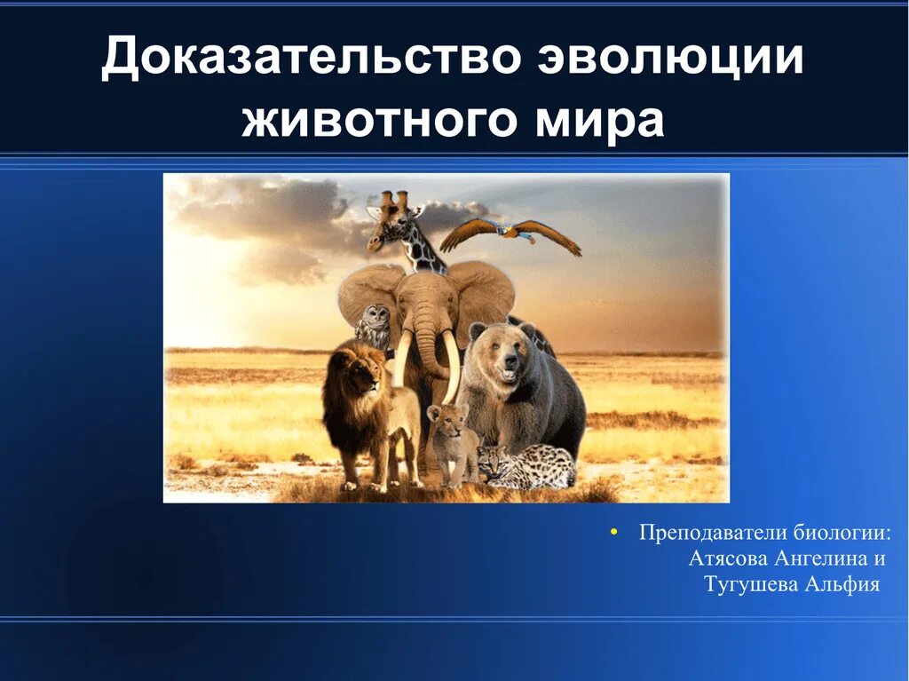 Записать доказательства эволюции животных. Науки доказывающие эволюцию животного мира. доказательства эволюции животного мира. эволюция коровы. погрешности в животной эволюции.