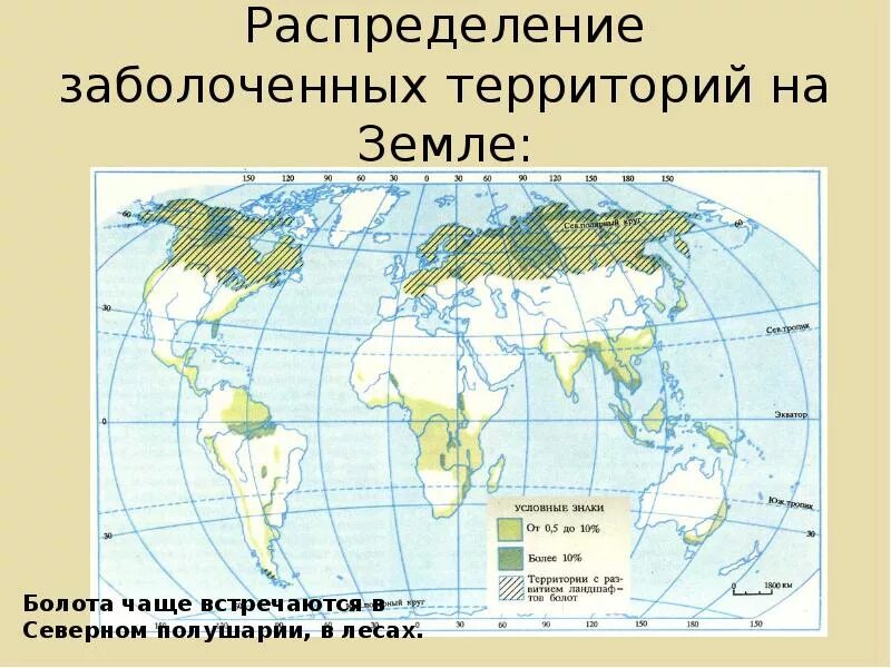 Заболоченные территории на карте.