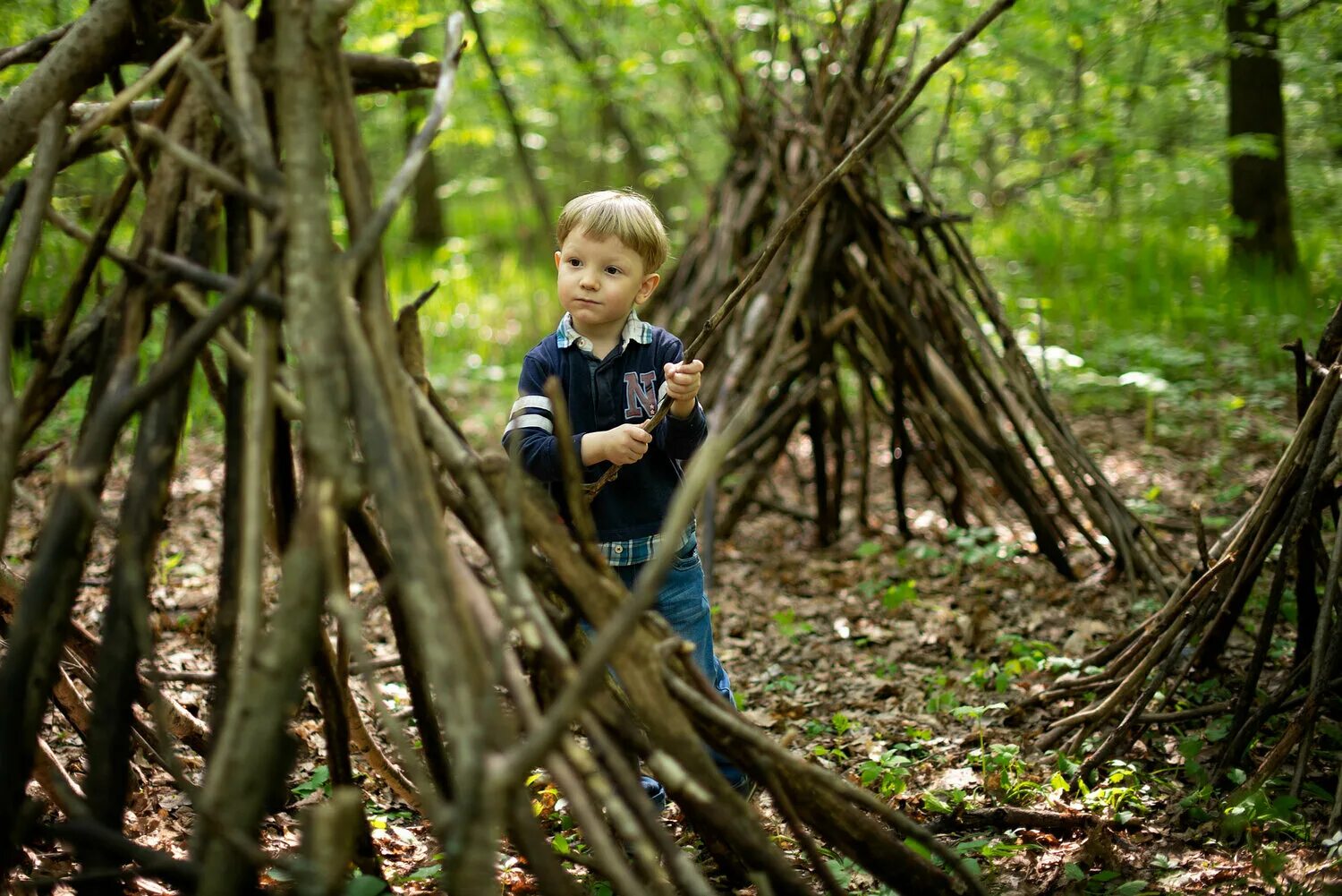 Оставила детей в лесу. Лесные дети. Дитя лесов. Малыши. В лесу. Лес картинка для детей.