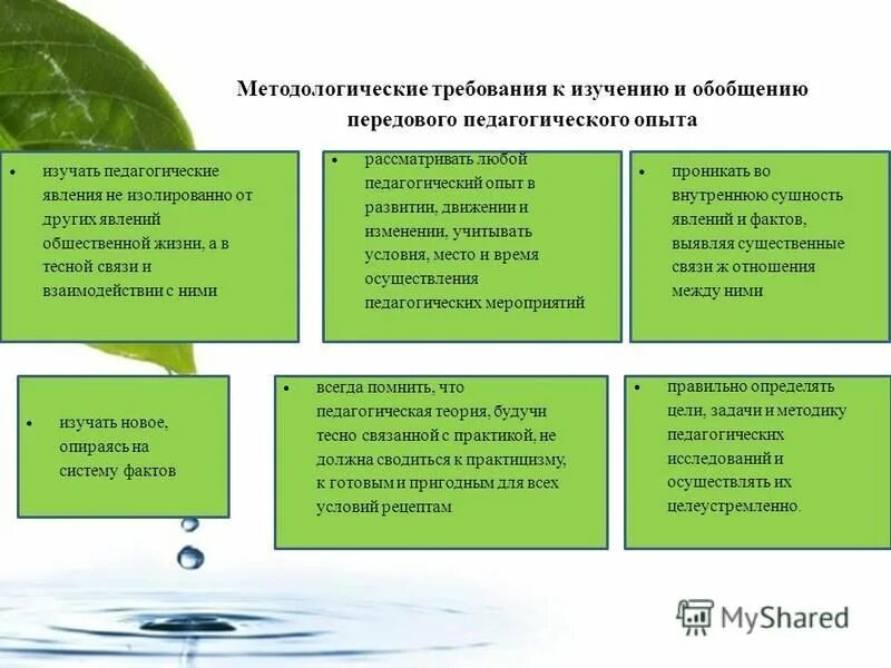 принципы изучения педагогических явлений