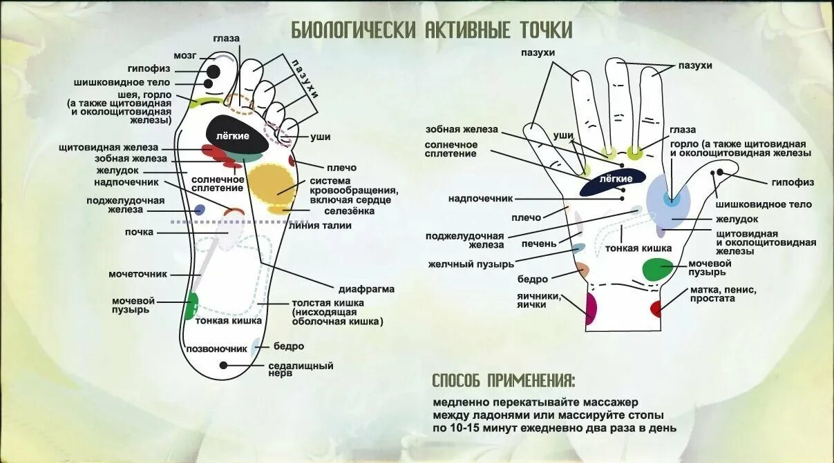 Су Джок точки на стопе. Су Джок акупунктура. Точки для массажа Су Джок. Су Джок массаж ног.