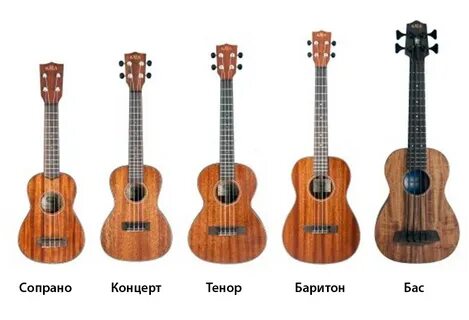 Похожие на укулеле