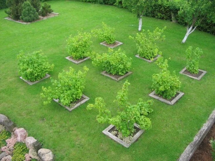 Pin by Britt Rutten on Tuin Garden privacy, Privacy landscaping, Garden design