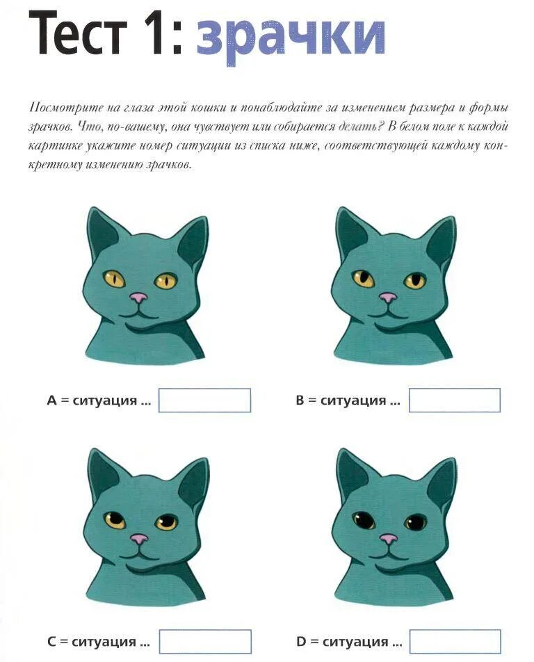 Кошки и их значение