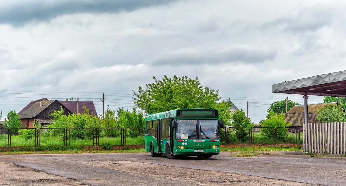 Автобус МАЗ 103 старый. Автобус МАЗ Ржавый. МАЗ-103 автобус 2012. Гомельская обл.