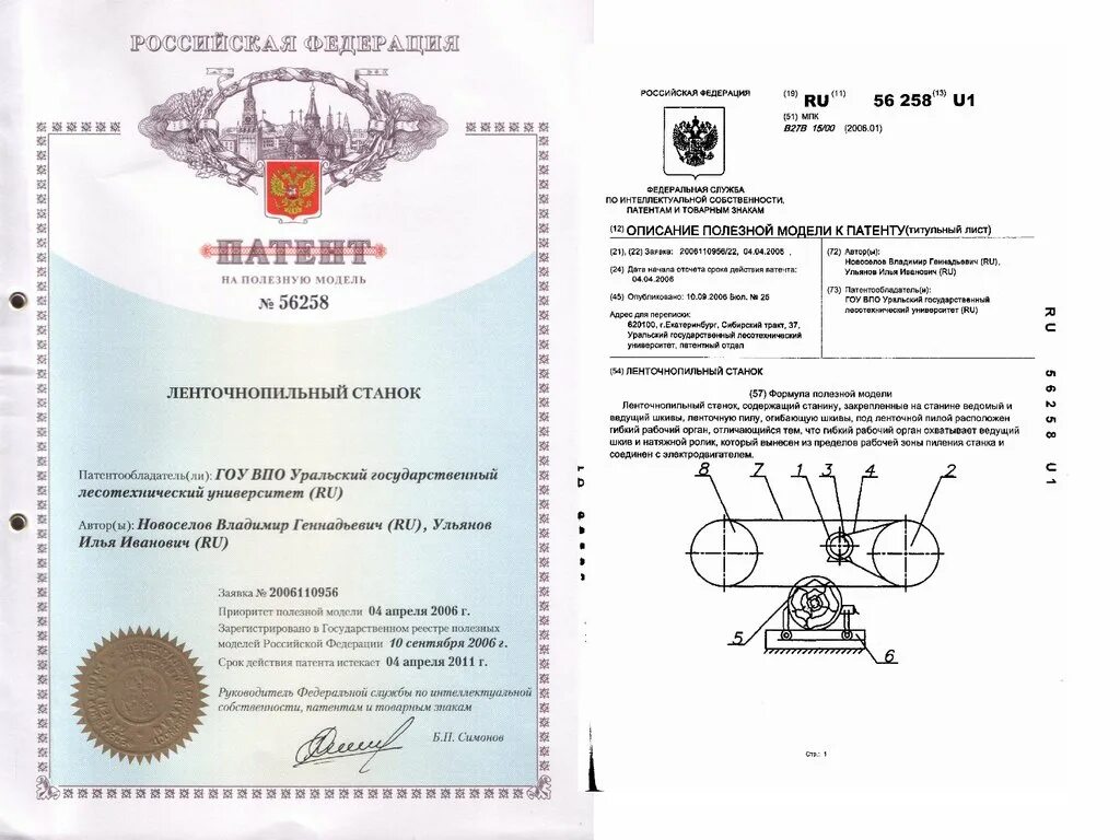 Патент на полезную модель 95501. Полезная модельпоимер. Промышленный образец. Полезная модель. Запатентовать промышленный образец