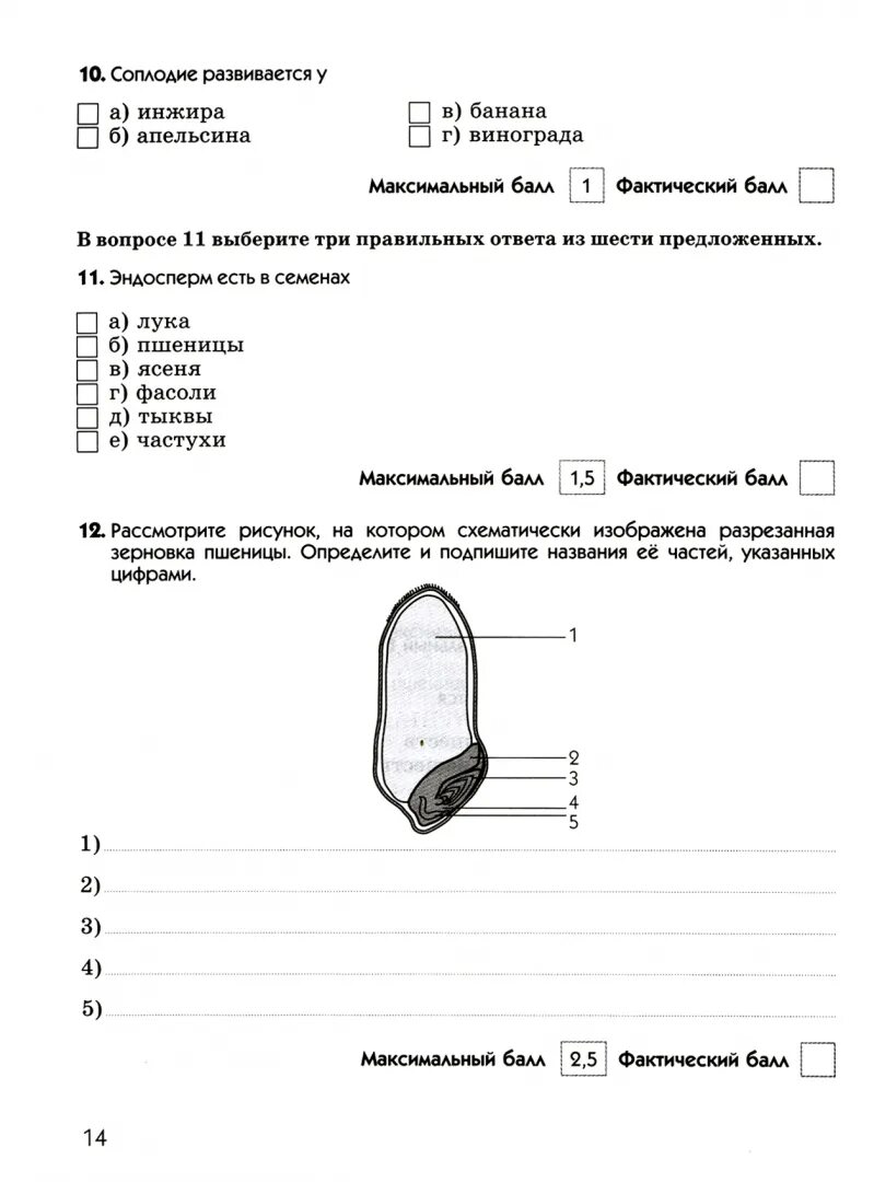 Биология диагностические тесты 8 класс гиа. Диагностические работы по биологии 6 класс. Экспресс диагностика 10 класс биология. Контрольная работа по биологии. Диагностика по биологии.