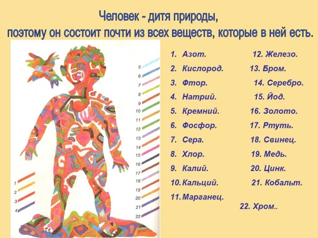 Из чего состоит человек химический состав. Иж чего состоит человек. элементы из которых состоит человек. из чево састаит челловвек. ис чево состоит человек.