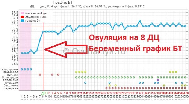 Можно забеременеть через неделю после овуляции. Беременность с ранней овуляцией график БТ. Овуляция и беременность. БТ при ранней овуляции. Возможна ли беременность на 7 день цикла.