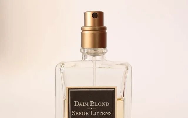 Daim blond serge. Daim blond serge