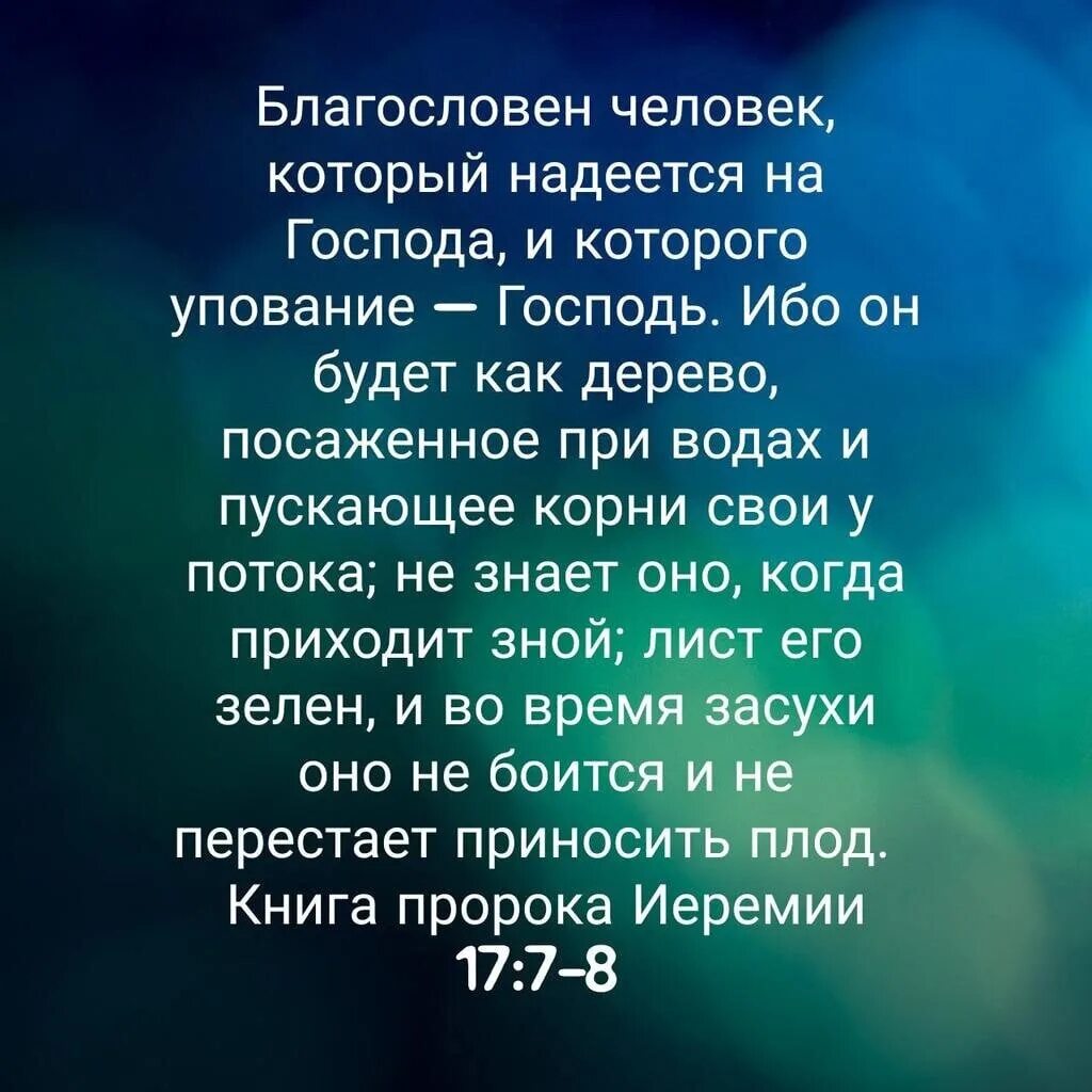 Проклят надеющийся. Благословен человек который надеется на Господа и которого упование. Благословенный человек. Блажен человек уповающий на Господа. Блажен человек которого упование Господь.