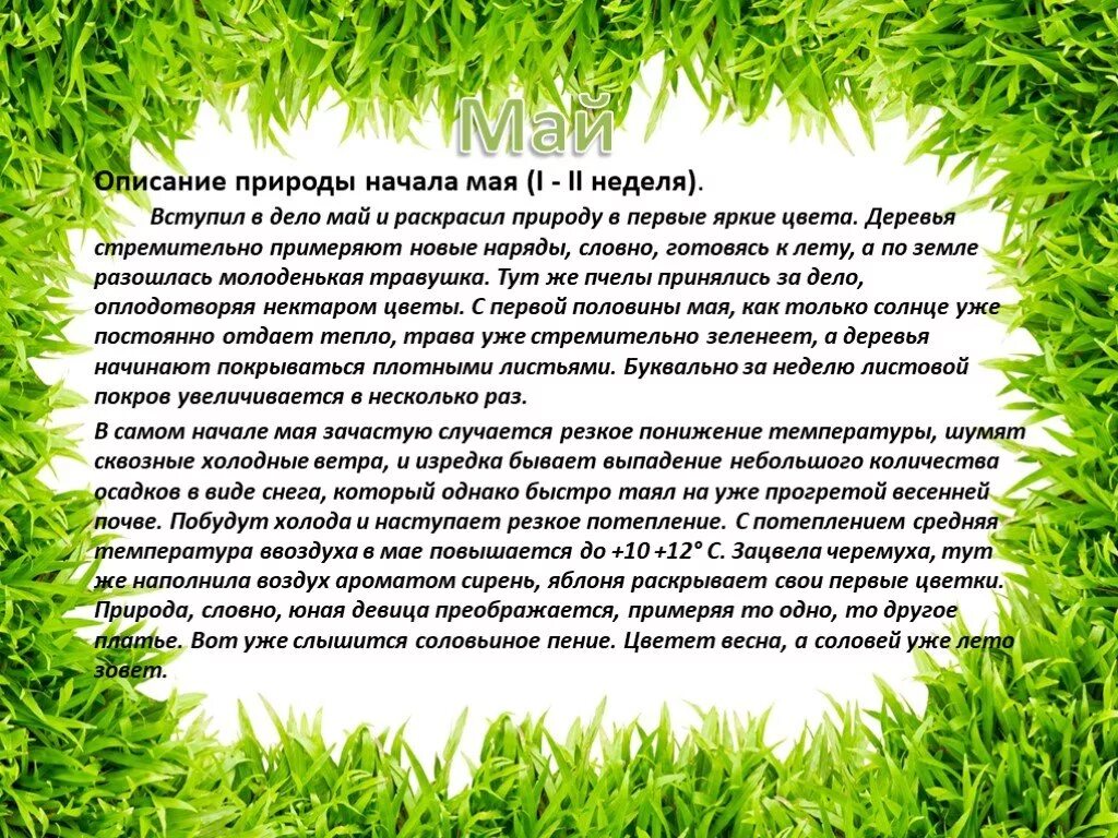 Описание природы. Лето описание природы. Сочинение описание природы. Красивые описания природы. Текст на лето 6 класс