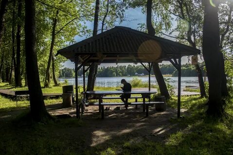 Аренда беседок балашиха