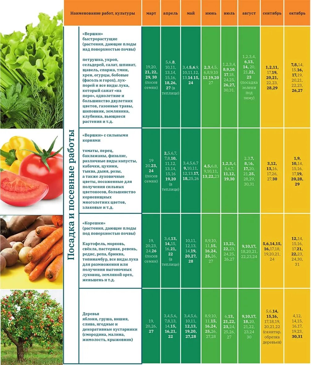 Календарь садовода россия. Лунный календарь садовода и огородника. Лунный календарь садовода и огородника 2022. Лунна садовода и огородника. Календарь садовода двулетних растений.