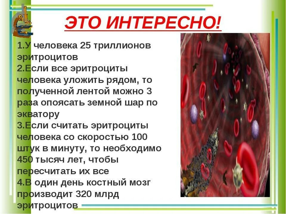 Кровь не сворачивается болезнь. Интересные факты о клетке. Интересные биологические факты. Интересное из биологии. Интересные факты о биологии.