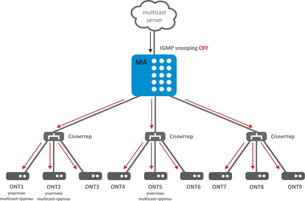 Igmp multicast