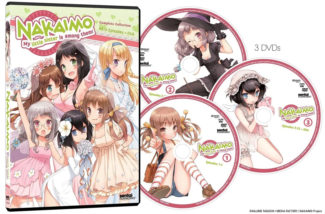 Nakaimo – my sister is among them!. Nakaimo – my sister is among them! Книга. My little sister now