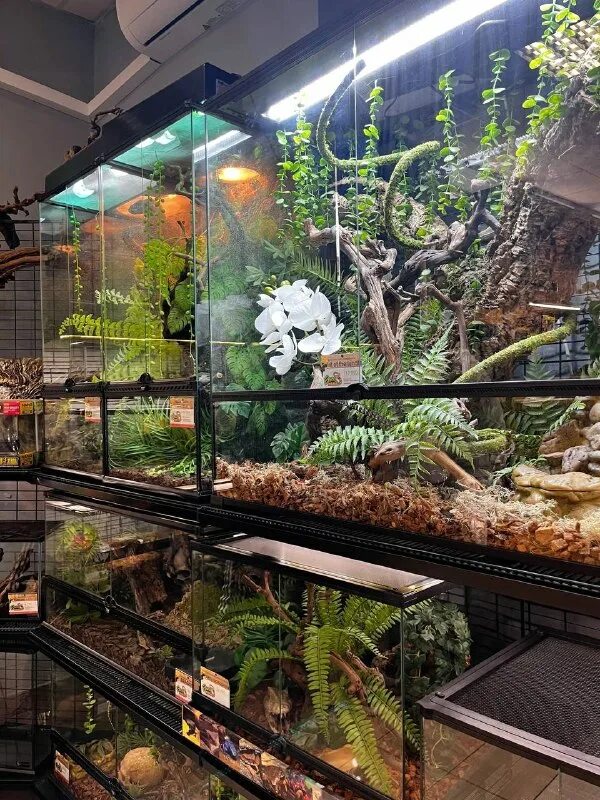 Зоомагазин энтузиастов. Экзомания зоомагазин. Ассортимент быстро. Экзомания лого. Зоогалерея зоомагазин.