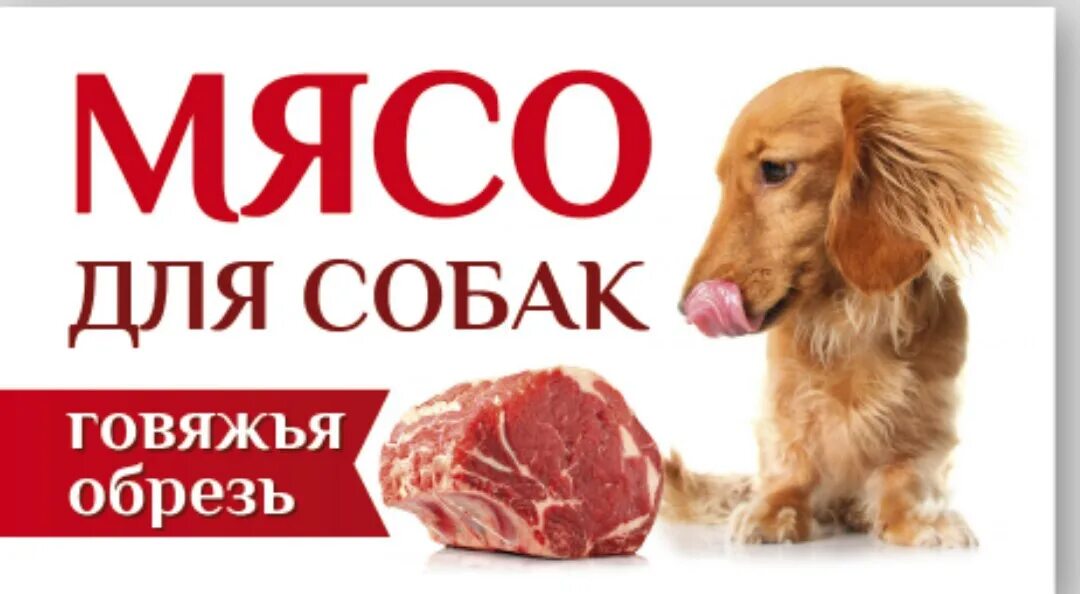 Собака та мясо. Объявление мясо для собак.
